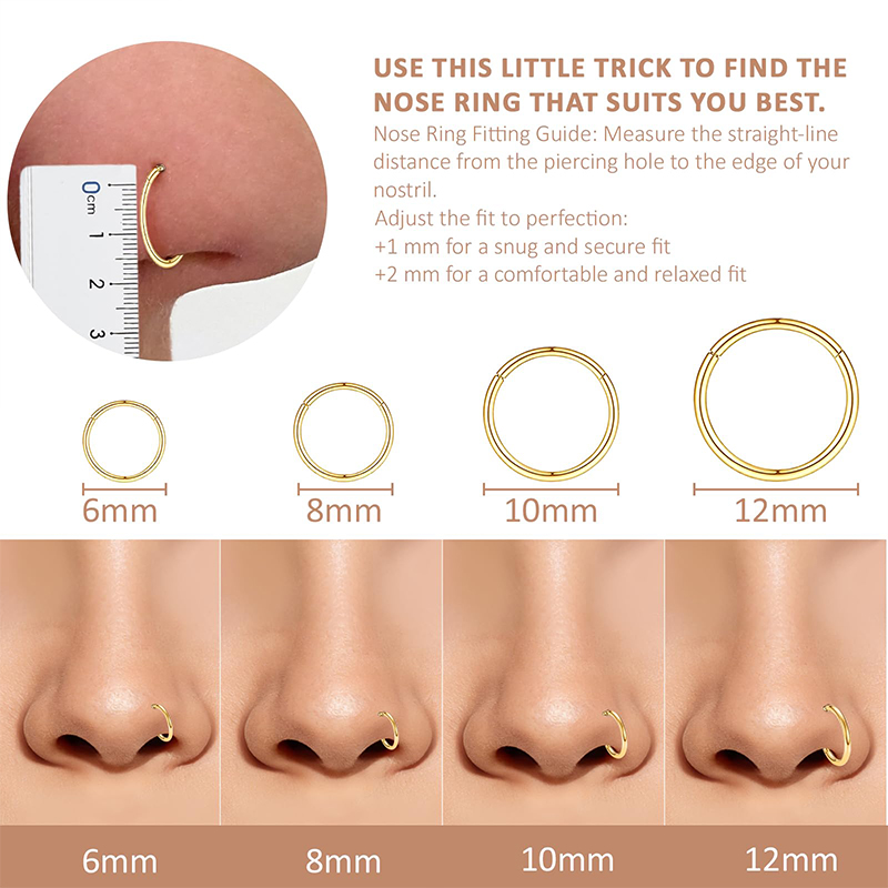 16G 316L Surgical Steel Hinged - огляд і ціна Body Jewelry Lip Ring