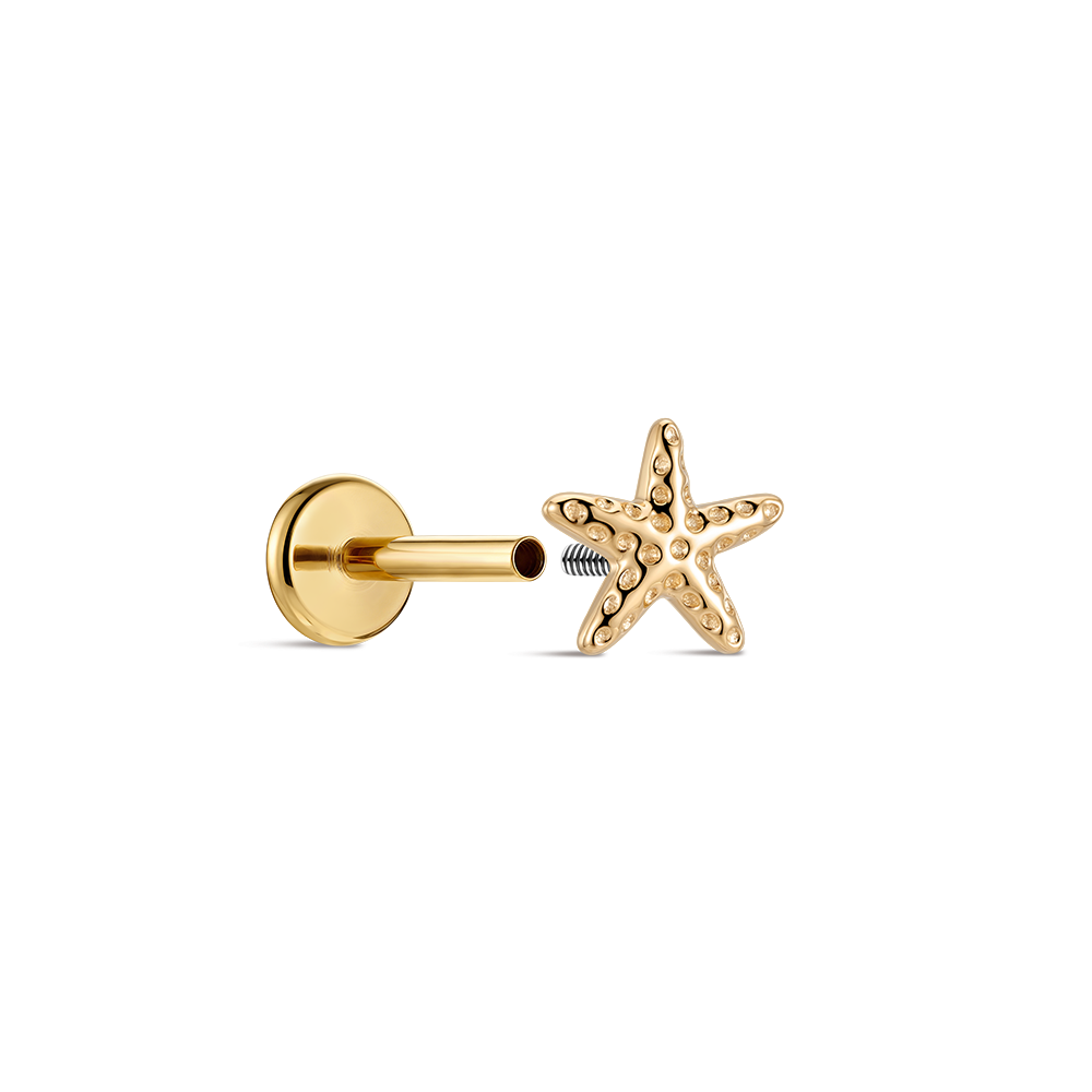 CANNER 14K Solid Gold Starfish - огляд і ціна Tragus Flat Back